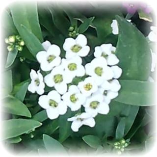 人生の良い波にのるための準備