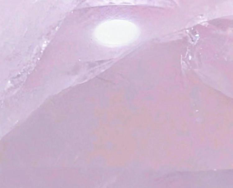 もしかして、恋の予感。。。？