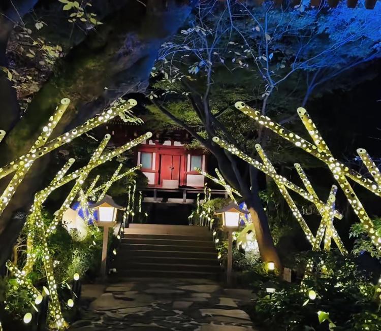 本日・弁財天様の加護を受ける方