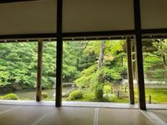 香りを聞く