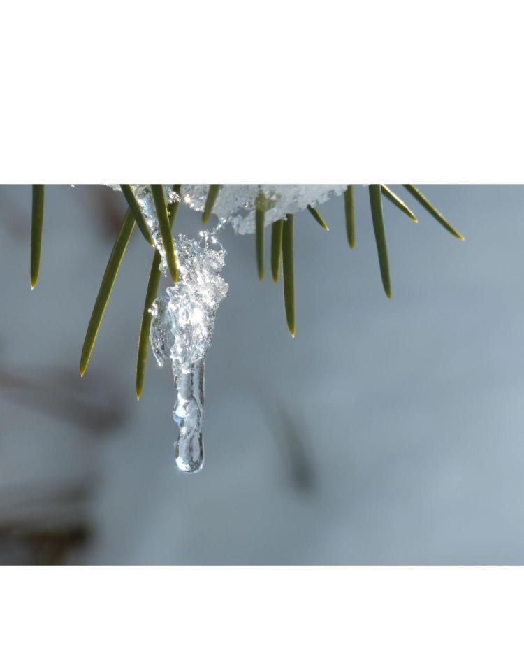 冬もまた楽し♪