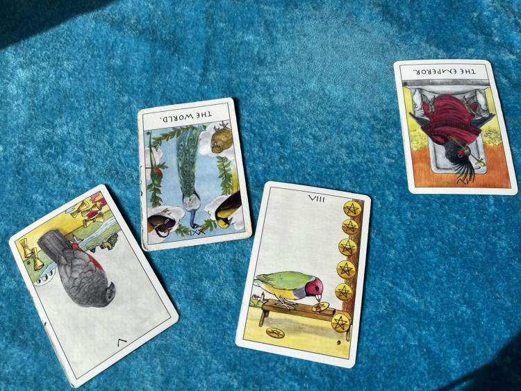 1月末迄の過ごし方