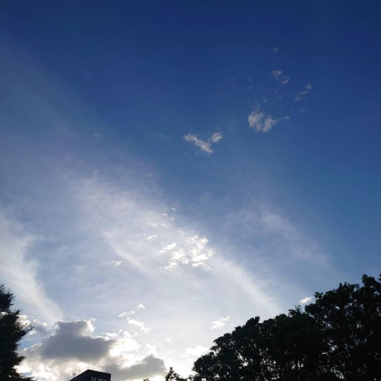 もしも あなたに出会わなかったら…