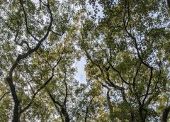 明けましておめでとうございます☆