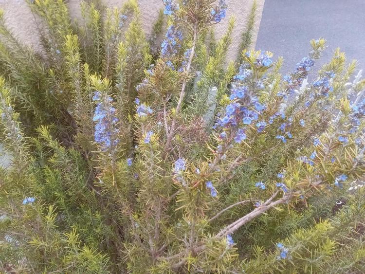 最高の1年をあなたのもとへ