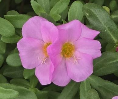 辛い時間に向き合うと...