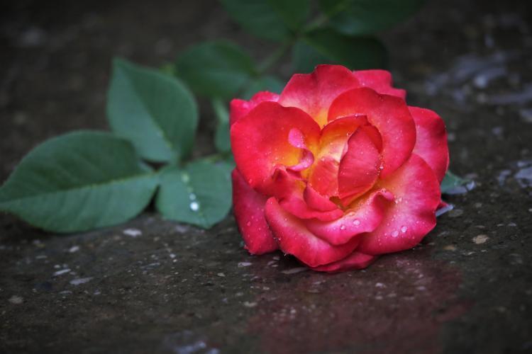 新年度とはうらはらにモヤっていませんか？