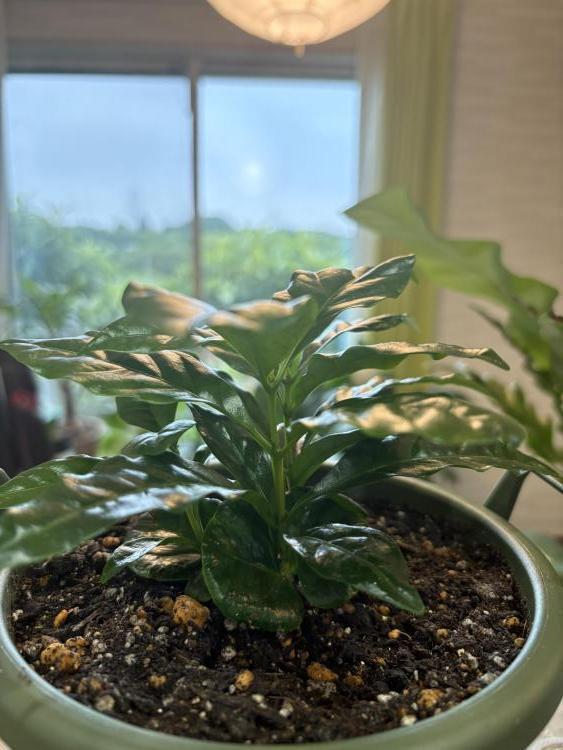 一緒にコーヒーでもいかがでしょうか?^^