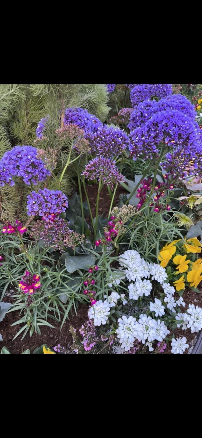 感性とエネルギー増幅して参ります