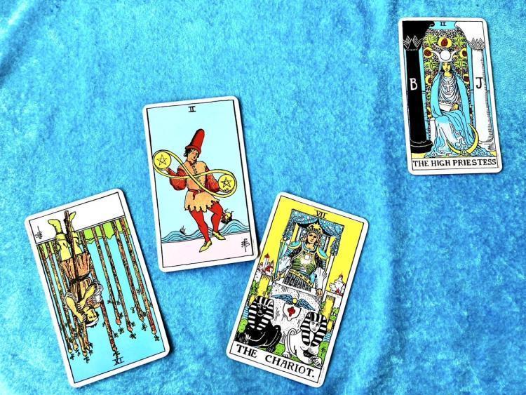 この先1週間の過ごし方