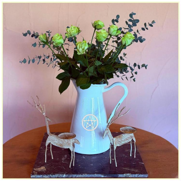 ～黒い羽根と白い薔薇～