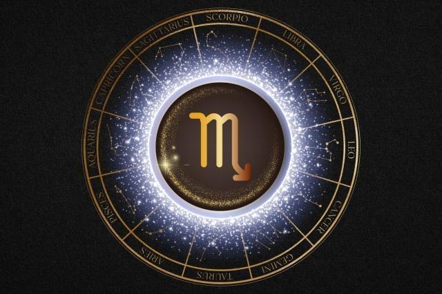 蠍座の時期に入りました