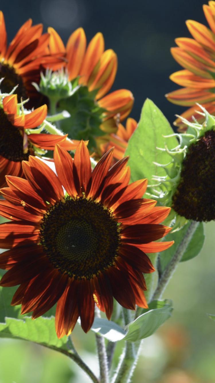 笑顔の先に♪( ´▽｀)