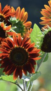 笑顔の先に♪( ´▽｀)