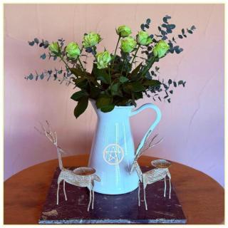 ～黒い羽根と白い薔薇～