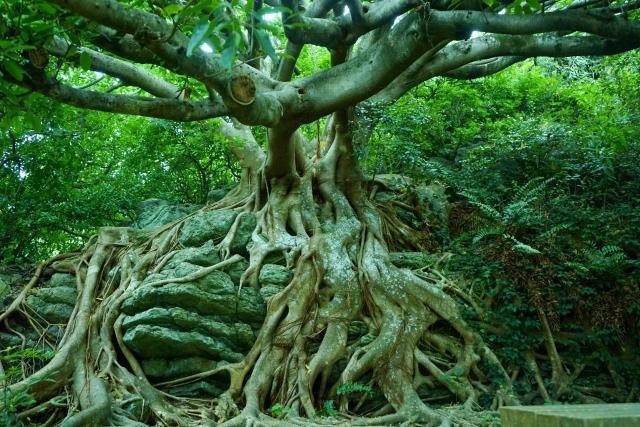 復縁　土台はできてきています