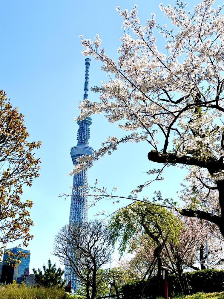 花をみて思ったこと