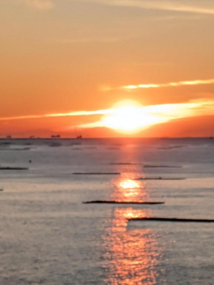 さらに勢いのある黄色の動物も