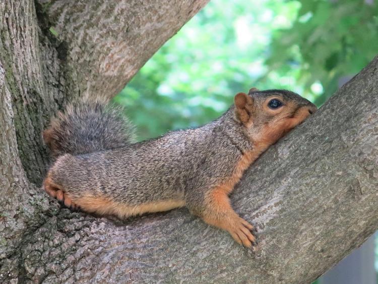 あなたが気をつけなければいけないこと
