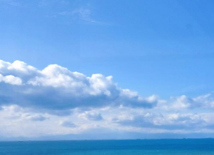 心のモヤモヤ、浄化のお手伝いを致します☆