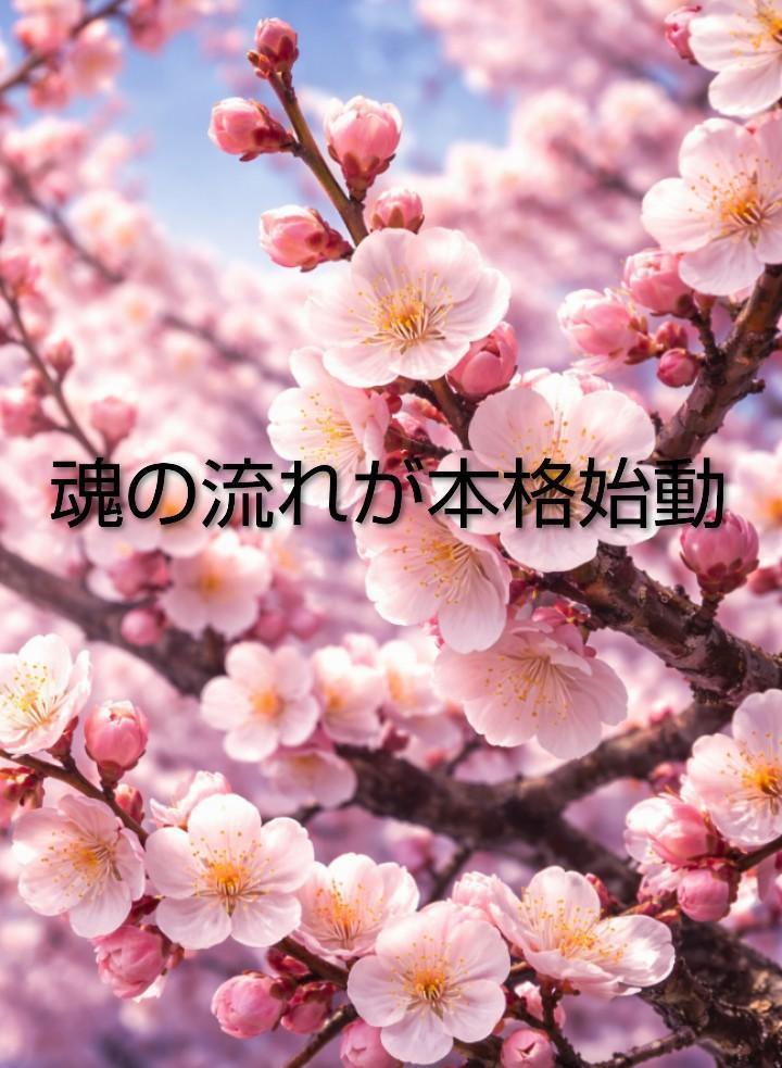 魂の流れが本格始動