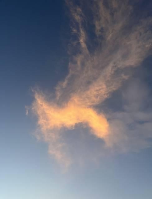 願いを込めて心を込めて