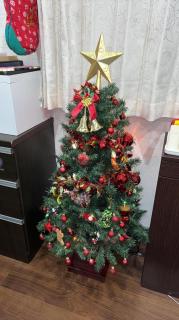 11月がスタートしました。