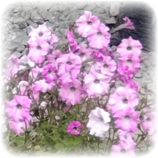 あべこべを理解する＾＾