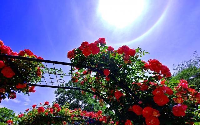 もうすぐパワーの恩恵もらえます！