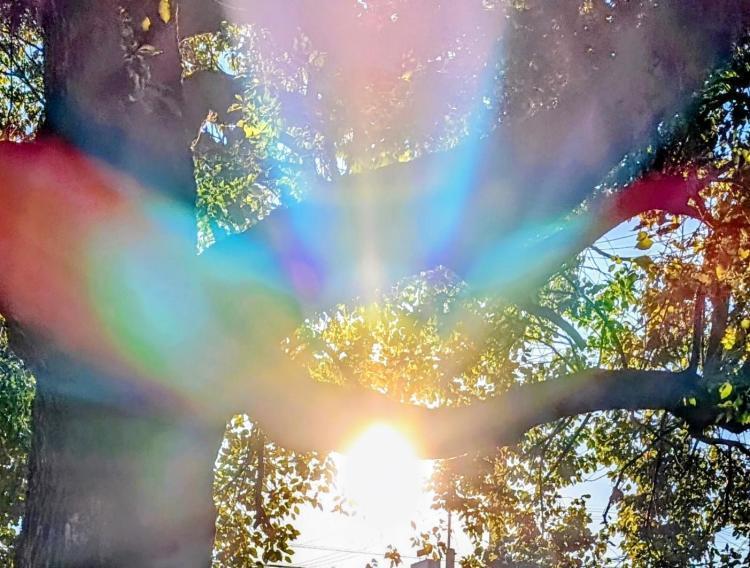 エネルギー補充にどうぞ☆