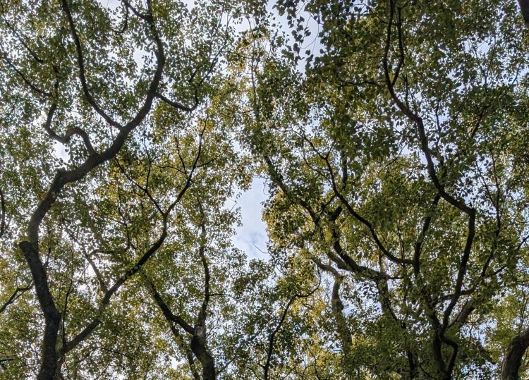 明けましておめでとうございます☆