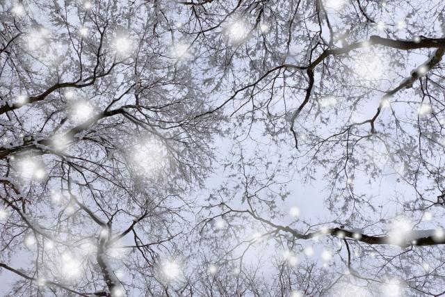 「寒さ」が恋をアツくする