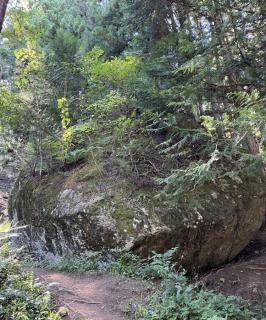 諏訪大社の参拝は小袋石から