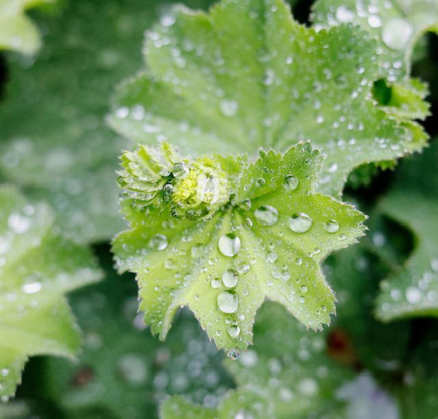 梅雨空に負けないで！！