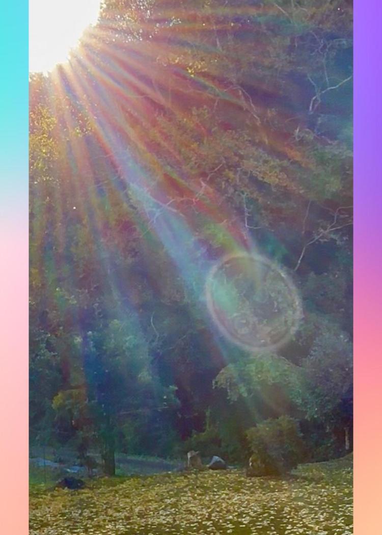 遠方祈願へ行ってきました。