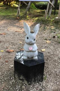 運命のマッチング(congratulation)