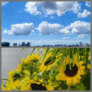 恋愛、人生のモチベUP