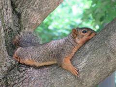 あなたが気をつけなければいけないこと