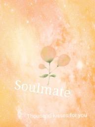 ソウルメイト　魂が呼んでいる