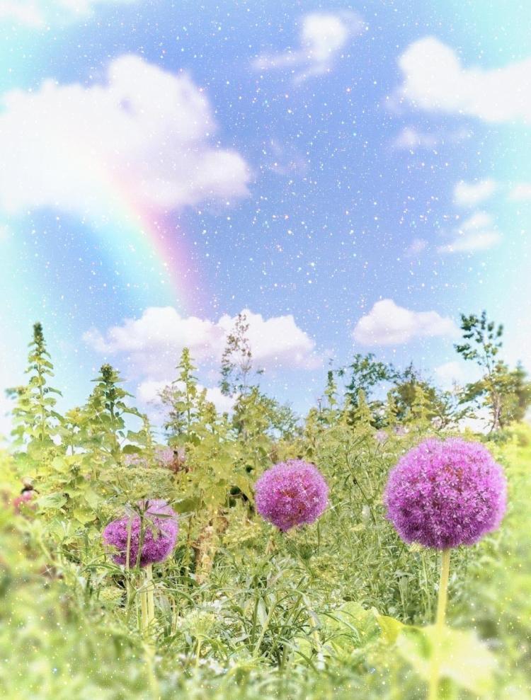 ☆7月の大開運日☆