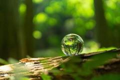 浄化　向上　開華