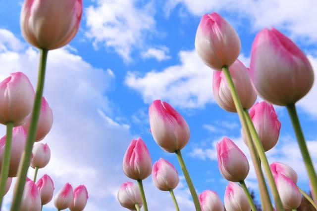 ３月のエネルギーカラー