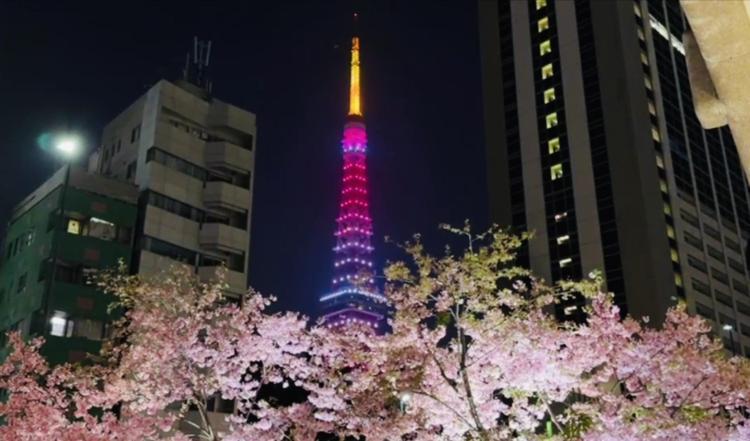 相手の心が揺れてるとき