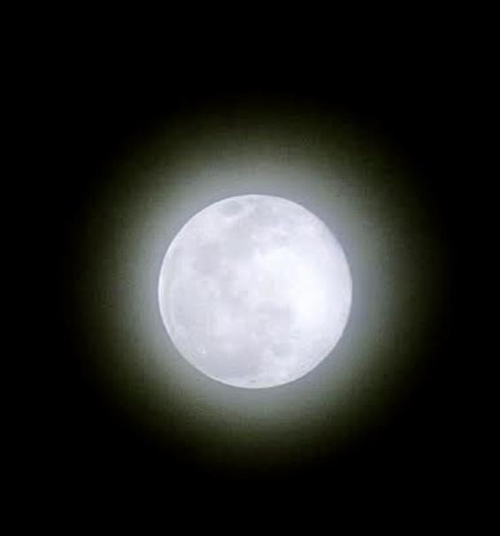 縁結大祭までに