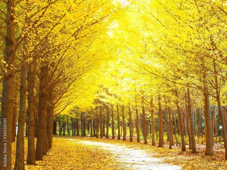 見方を変え　意図すればいいだけ