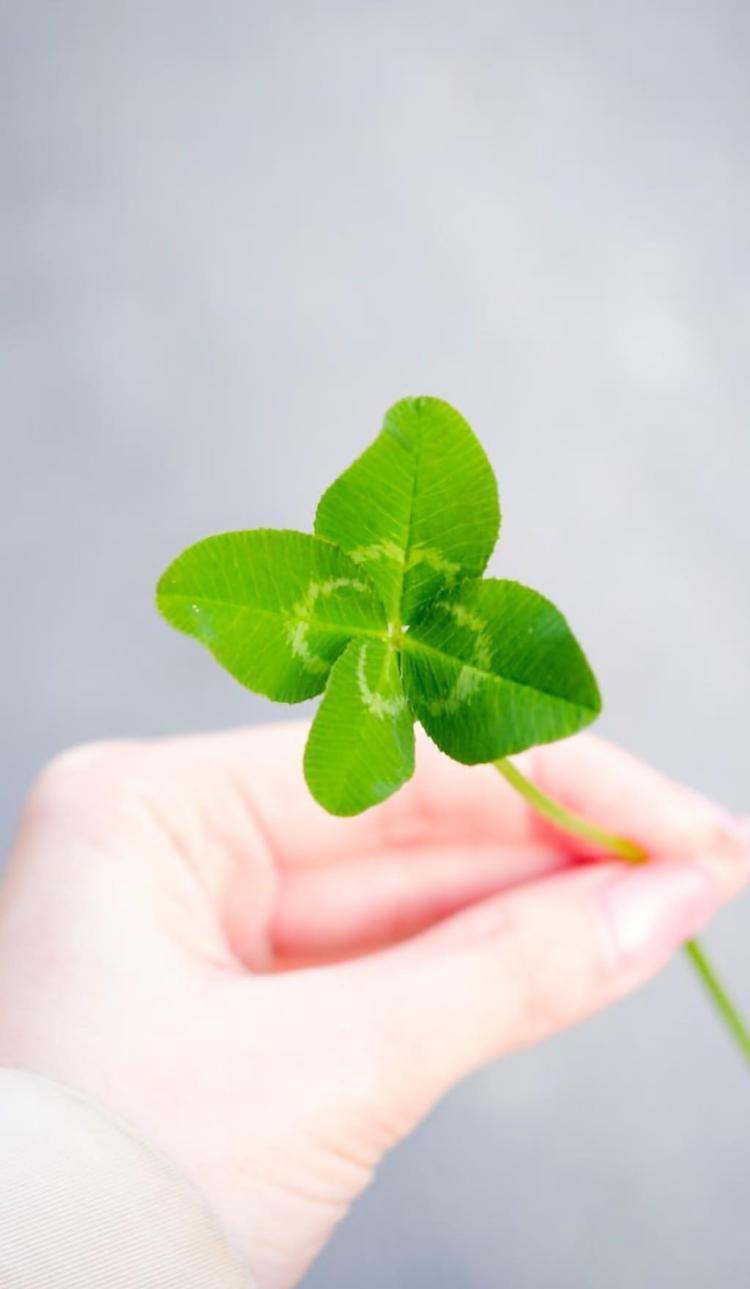 幸せ探しの心の旅