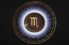 蠍座の時期に入りました