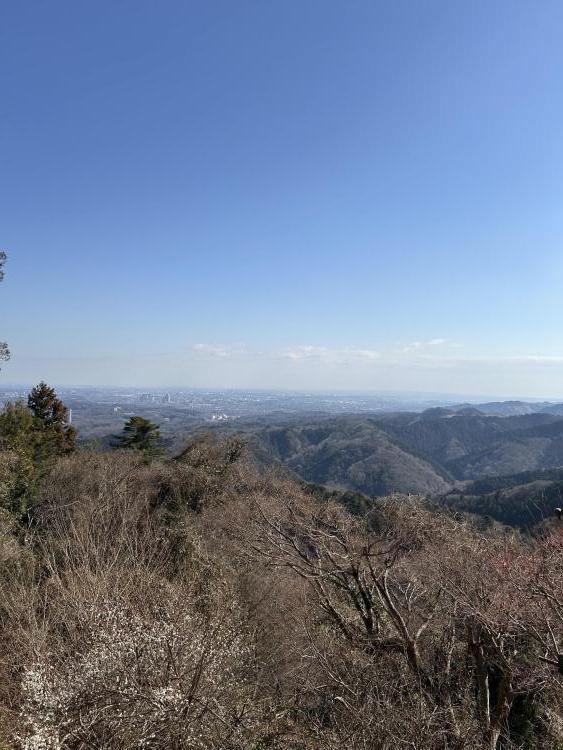 春のパワーは最高潮！！