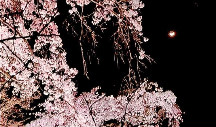 足らないぐらいが丁度いい