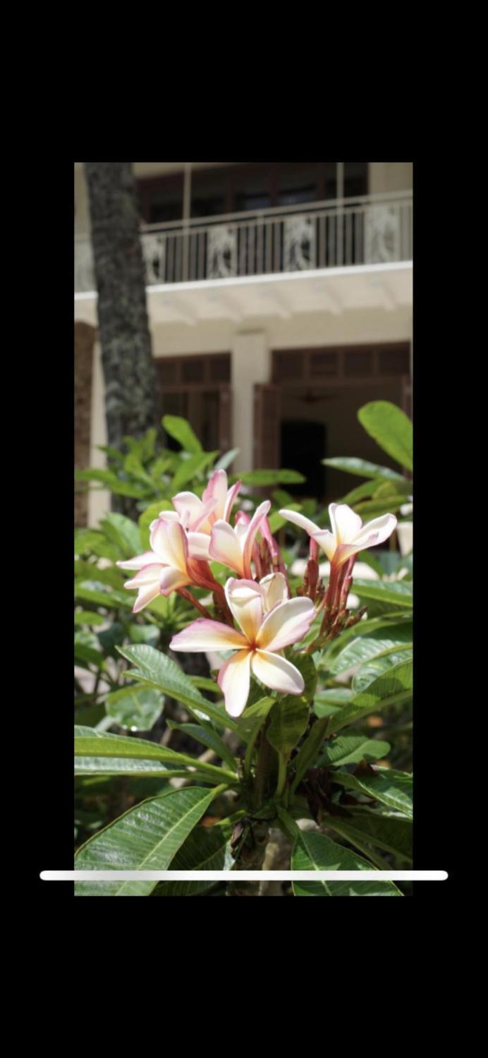 相思相愛は以心伝心から